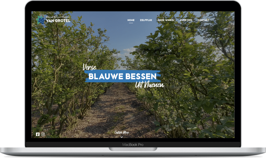 Website van Blauwe Bessen van Grotel op een laptop